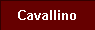  Cavallino 